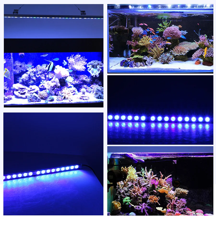 Populargrow 54W/81W/108W Aquarium Light with 470nm Blue Spectrum Leds Strip Light Beautiful Your Coral Reef Fish Tank Lamp