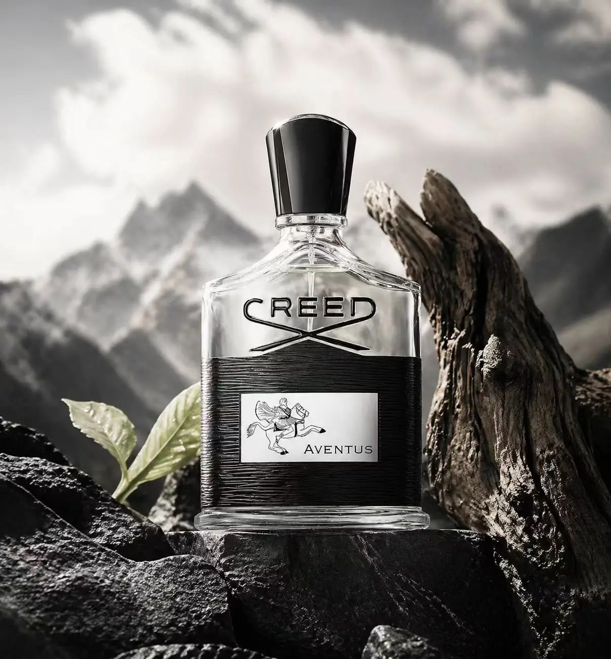 Creed Aventus: Audacious & Timeless Men's Cologne