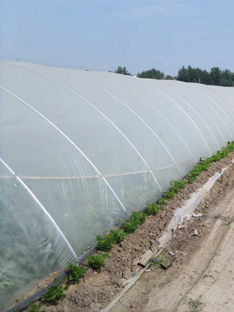 SucceBuy Agricultural Greenhouse Film Clear Plastic Farm Crops Vegetable Cover UV Resistant Polyethylene Covering Plants Flowers