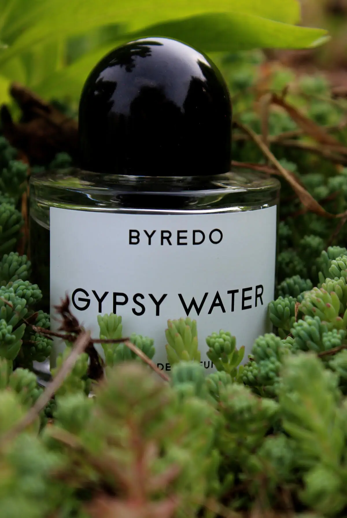 New Arrival! Mojave Ghost, Gypsy Water, Rose, Cedar 100ml 3.4oz EDP Unisex Perfume, Long Lasting Woody Floral Fresh Fragrance Spray, Daily Office Travel Scent, Perfect Gift for Birthday Halloween Christmas Holiday Present