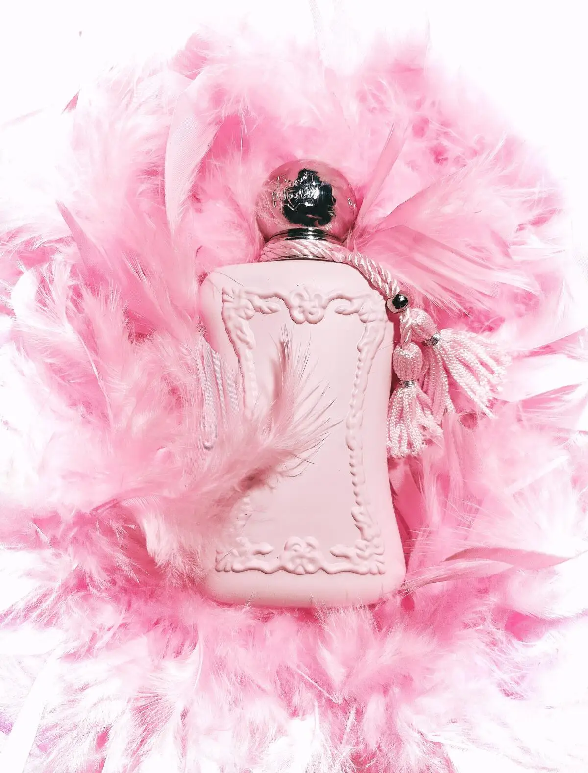 Delina Exclusif Eau De Parfum 75ml 2.5oz Great News Back In Stock Pastel Pink Bottle Design Anniversary Birthday Graduation Gift Idea Year-Round Essential Amber Oriental Floral Women Fragrance Spray Special Event Celebration New Stock Restocked Mist