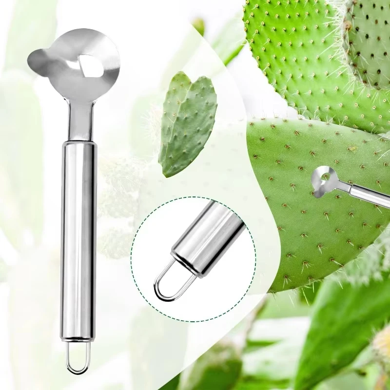 2 Pieces Multi-Function Nopal Cactus Peeler Cutter Stainless Steel Pelador de Nopales with Groove Edge Ergonomic Cactus Peeling Spoon Safe Easy Thorn Remover Kitchen Cooking Tools Accessories