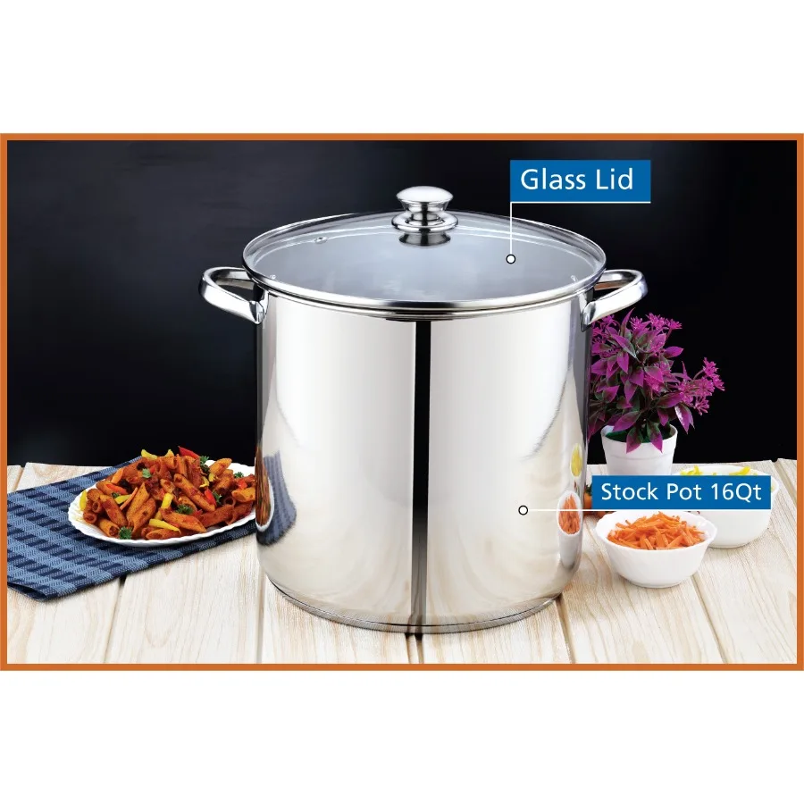 Stainless Steel 16-Quart Stock Pot with Glass Lid