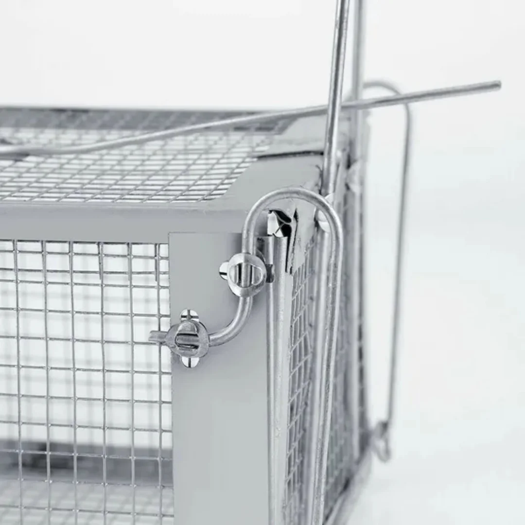 USA Mouse Trap Rat Trap Rodent Trap Live Catch Cage, Easy to Set Up and Reuse