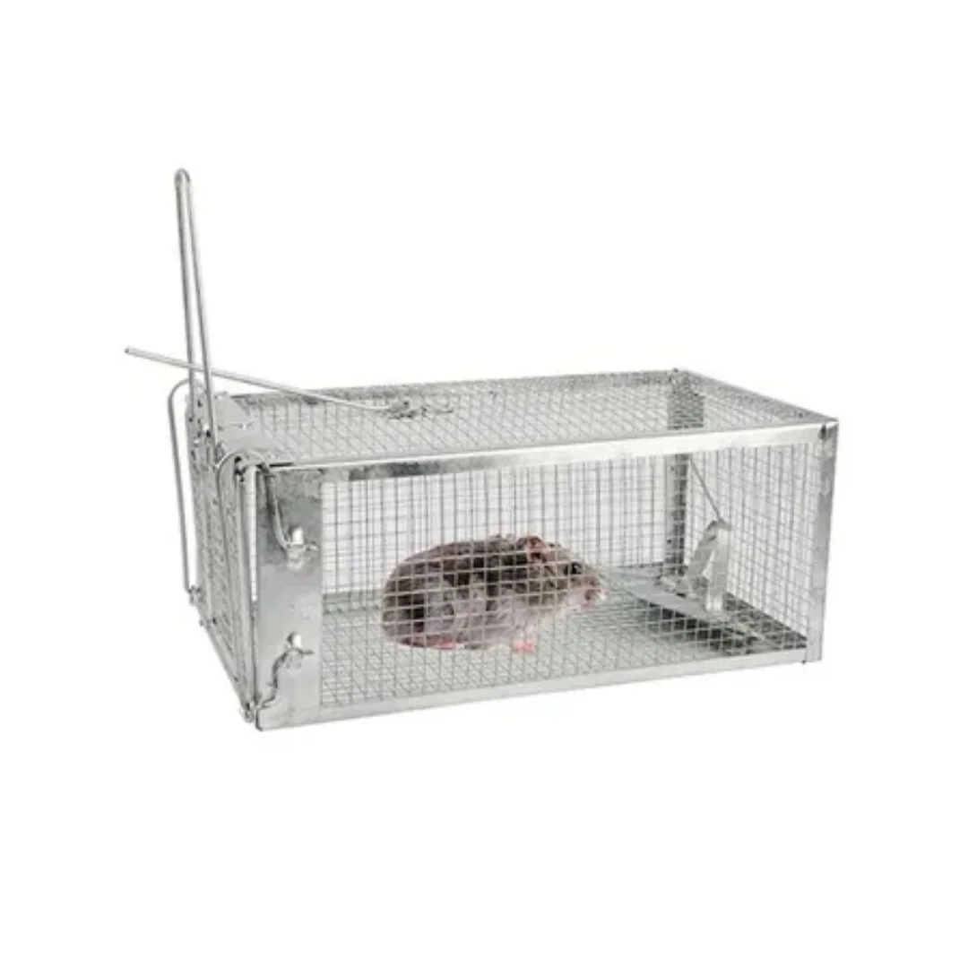 USA Mouse Trap Rat Trap Rodent Trap Live Catch Cage, Easy to Set Up and Reuse