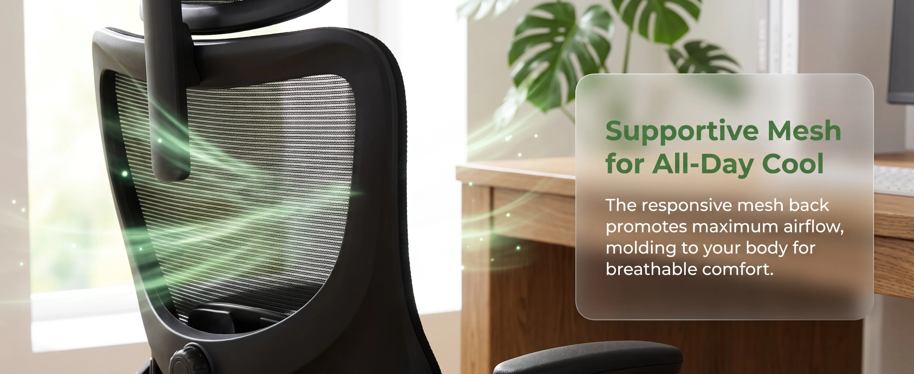 Ergonomic Office Chair: Office Desk Chair with High Back Mesh and Adjustable Lumbar Support Rolling Work Swivel Task Chairs with Wheel 3D Armrests and Headrest