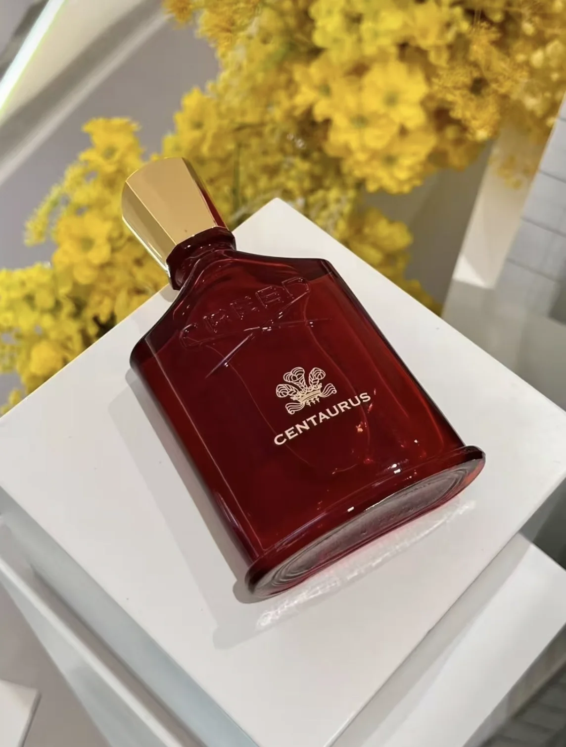 Creed Centaurus EDP with iconic red bottle. Spicy woody base enriched with smoky layers. Solid and steady aroma with great lasting power. A mature fragrance for lovers of deep, grounded scents.