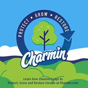 Charmin Ultra Gentle Toilet Paper, 9 Mega Rolls, 231 Sheets Per Roll