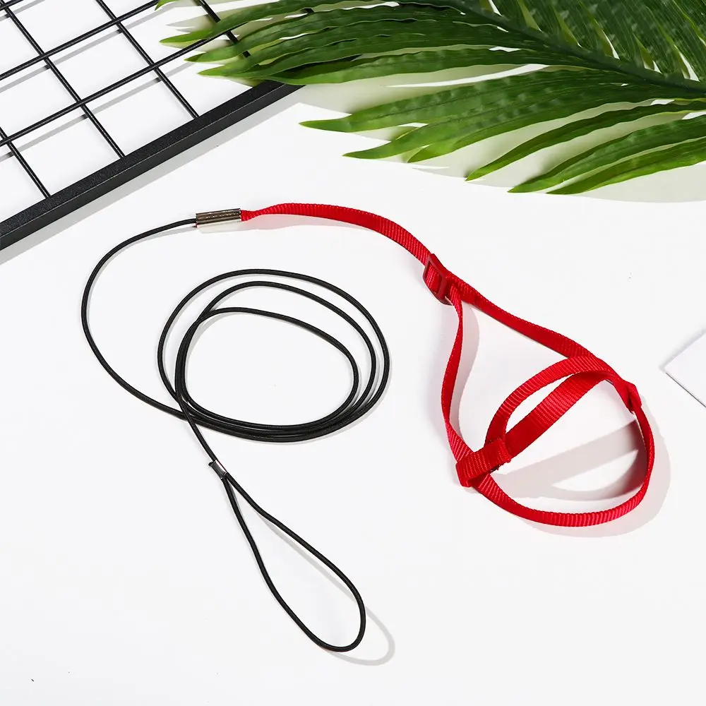Training Flying Traction Rope Anti-Bite Training Rope Bird Leash Parrot Flying Rope Parrot Harness Bird Harness Leash
