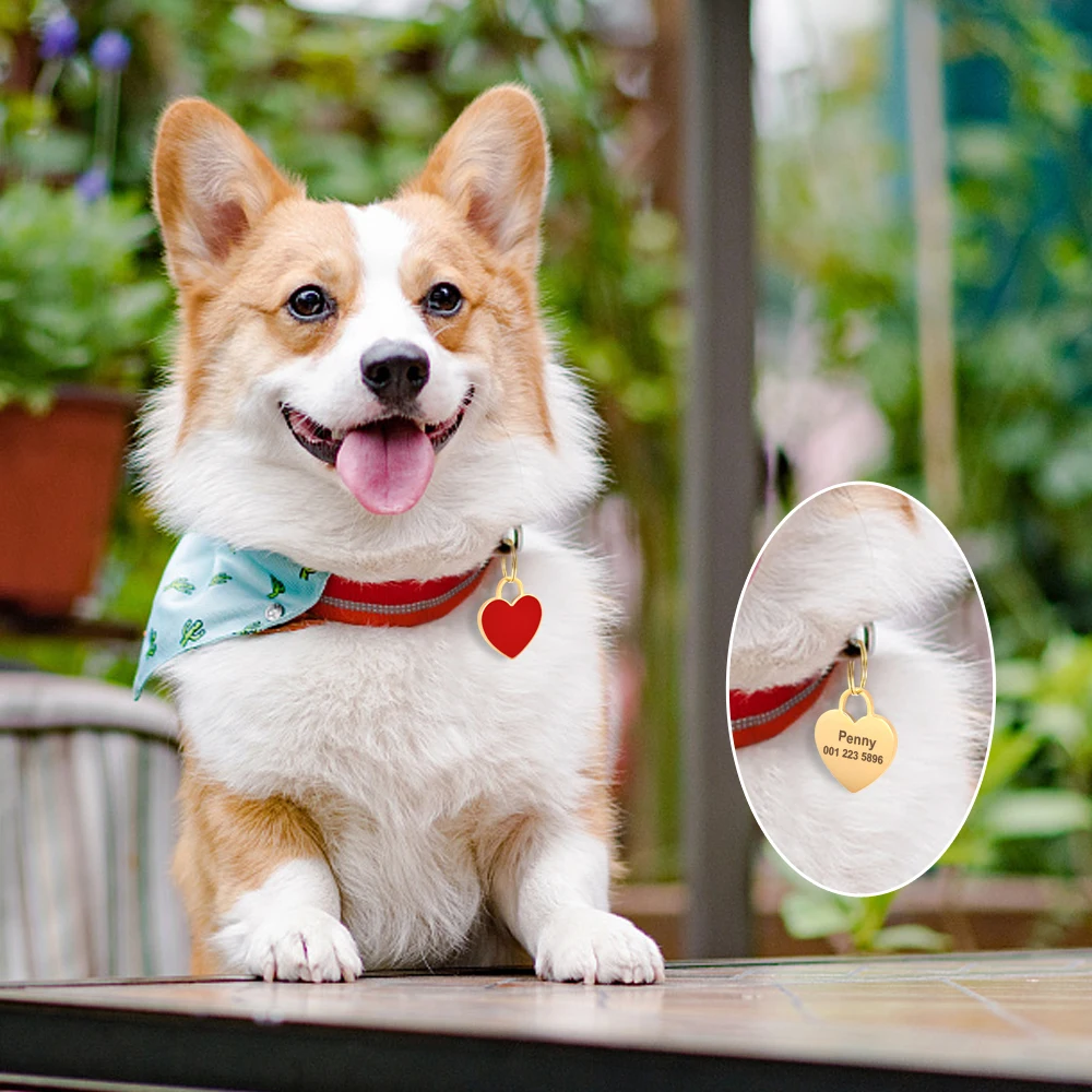 Free Custom Dog ID Tag Personalized Puppy Cat Nameplate Pendant Anti-lost Heart Tags For Collar Gril Boy Dogs Pet Accessories