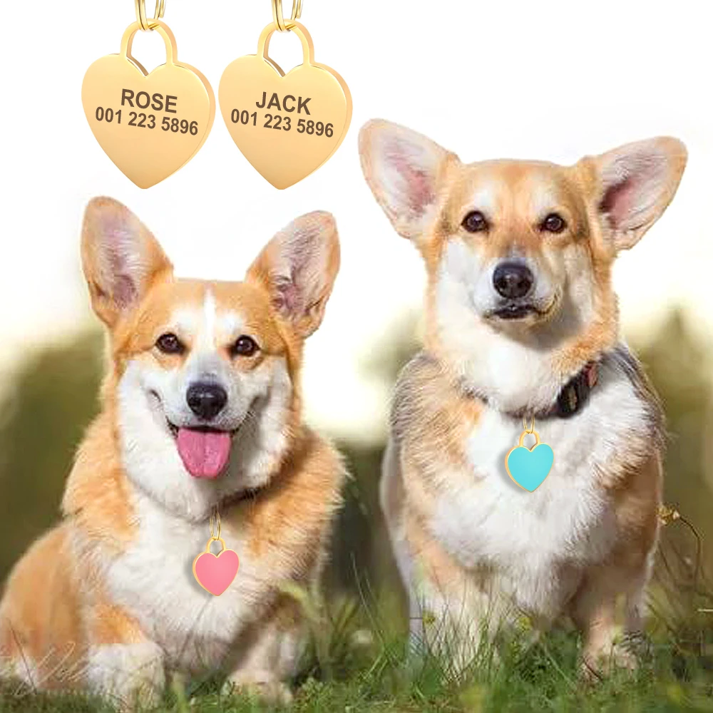 Free Custom Dog ID Tag Personalized Puppy Cat Nameplate Pendant Anti-lost Heart Tags For Collar Gril Boy Dogs Pet Accessories