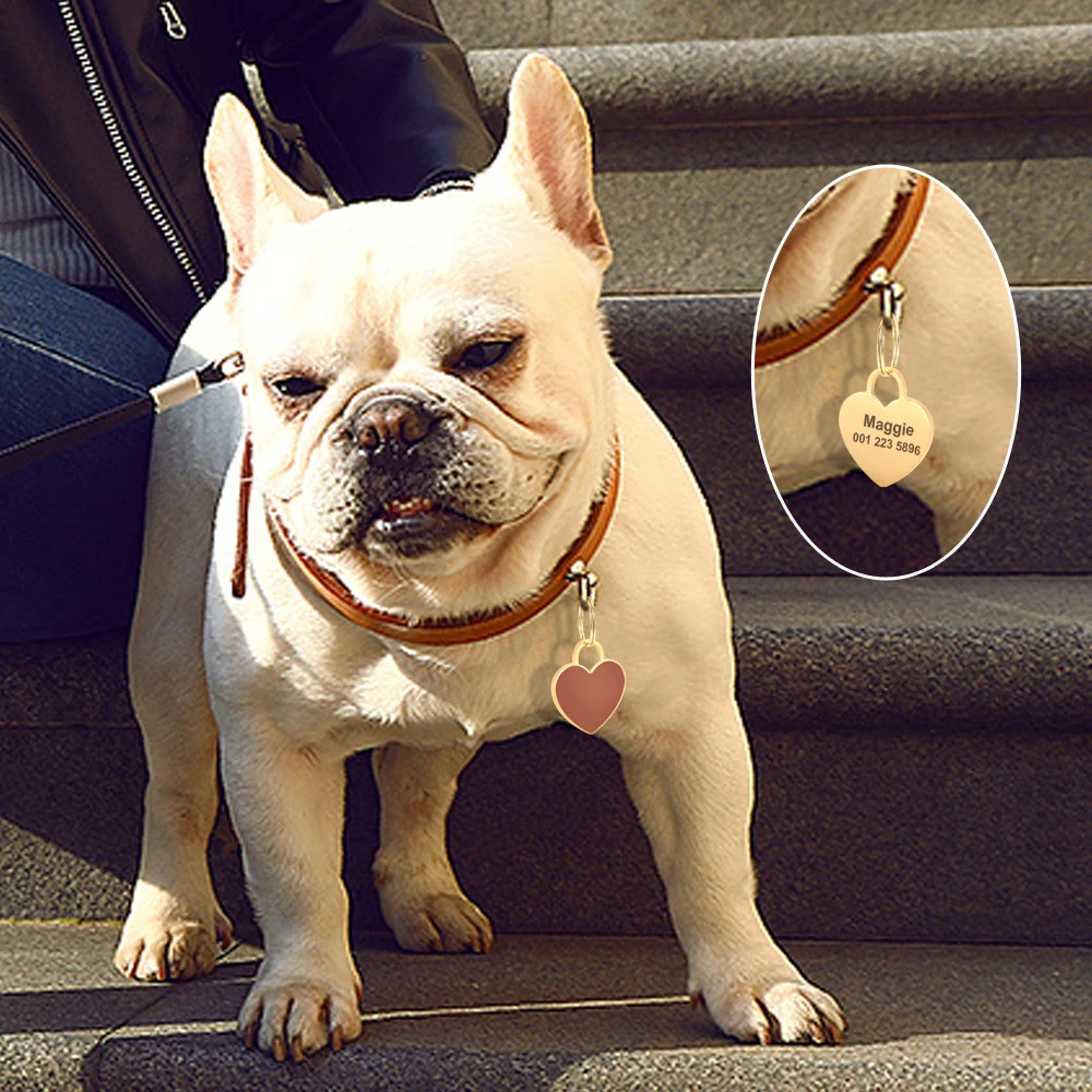 Free Custom Dog ID Tag Personalized Puppy Cat Nameplate Pendant Anti-lost Heart Tags For Collar Gril Boy Dogs Pet Accessories