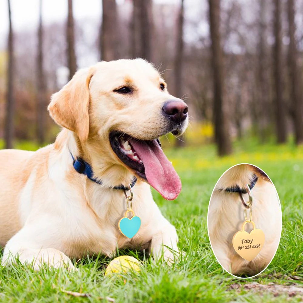 Free Custom Dog ID Tag Personalized Puppy Cat Nameplate Pendant Anti-lost Heart Tags For Collar Gril Boy Dogs Pet Accessories