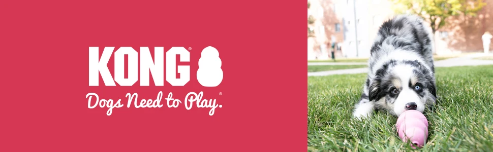 KONG Puppy Natural Teething Rubber Dog Chew Toy with Your Choice of Dog Treat Toy XS-L