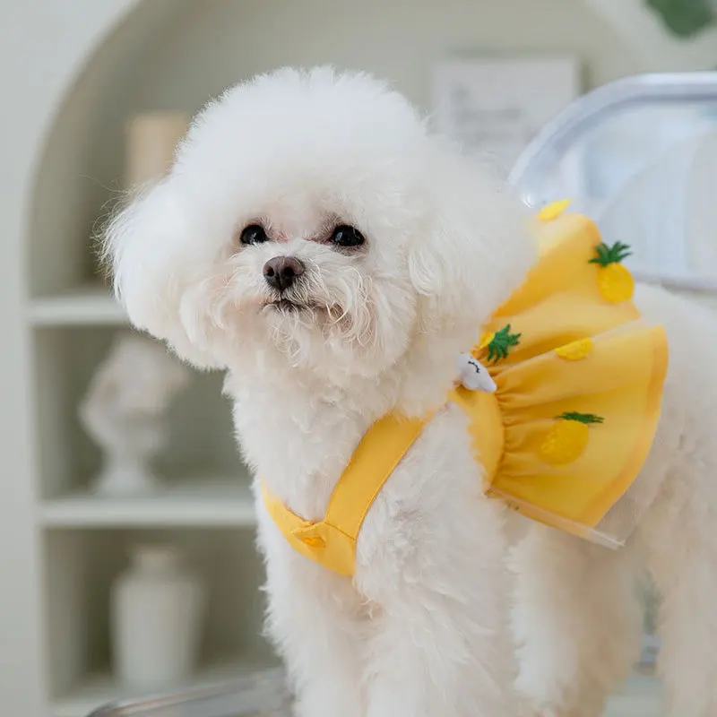 Dog Princess Dress Cute Pet Dog Mesh Dress Kitten Puppy Pet Skirt Dog Summer Dress Bow Lace Korean Poodle Chihuahua Dog Clothes
