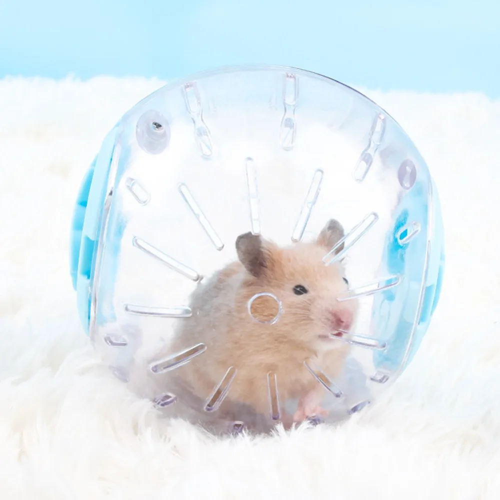 10/12CM, Plastic Outdoor Sport Ball, Grounder, Rat, Small Pet, Jogging Ball, Hamster, Gerbil Exercise Ball, Play Toy Supplies