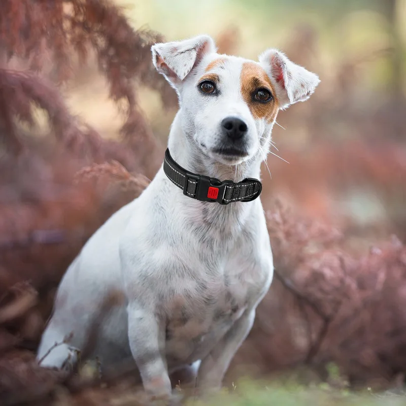 Reflective Dog Collar,Soft Neoprene Padded Breathable Nylon Pet Collar Adjustable for Medium Large Dogs, Neck