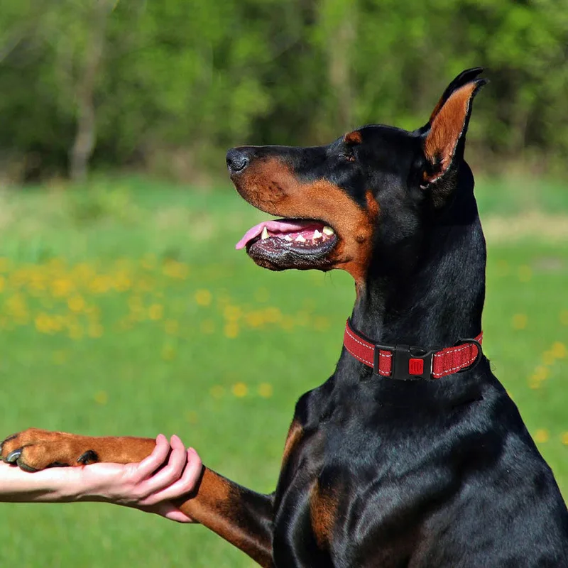 Reflective Dog Collar,Soft Neoprene Padded Breathable Nylon Pet Collar Adjustable for Medium Large Dogs, Neck