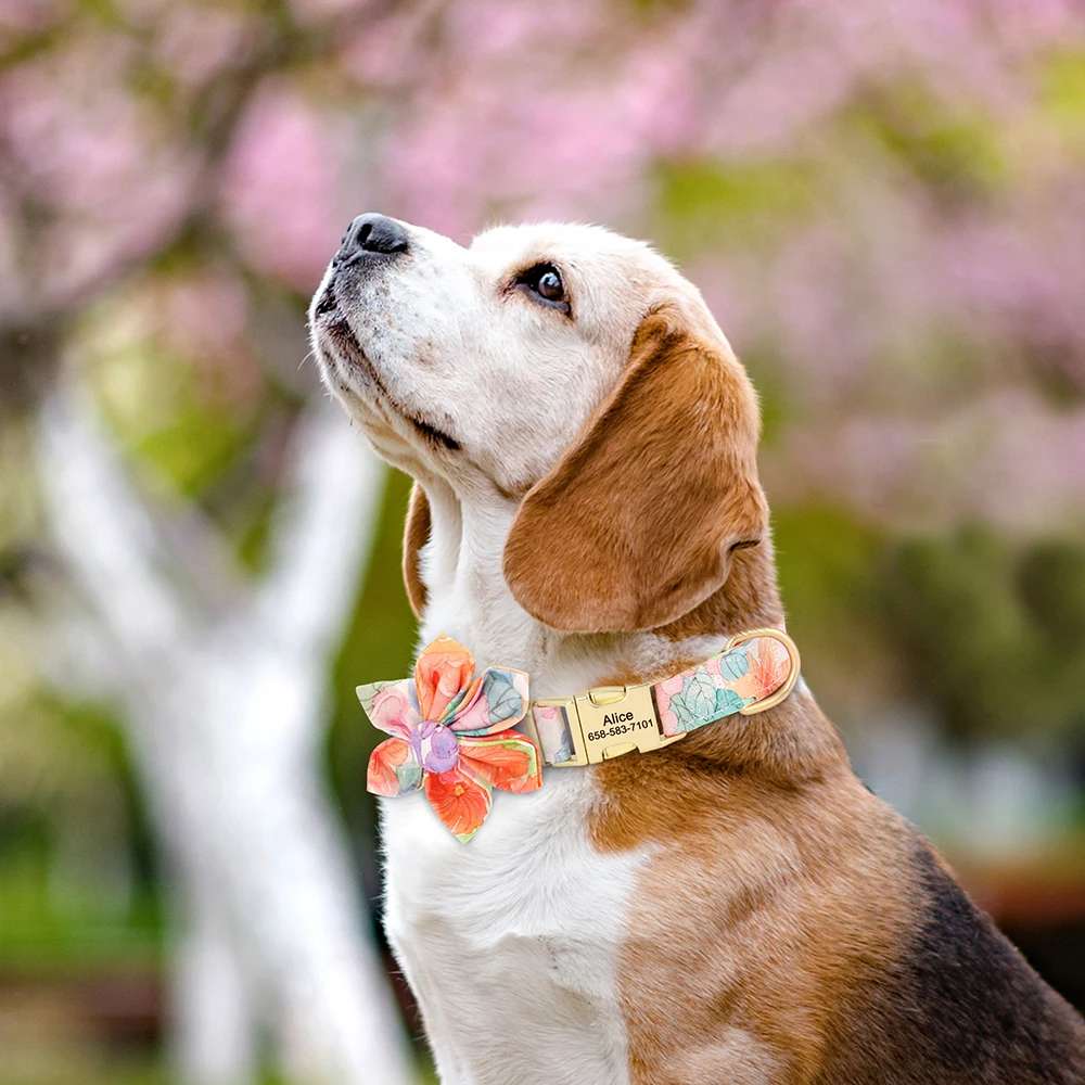 Custom Nylon Dog Collar Cute Print Dog Collars Free Engraved Pet ID Collars Necklace For Small Medium Large Dogs Pug Adjustable