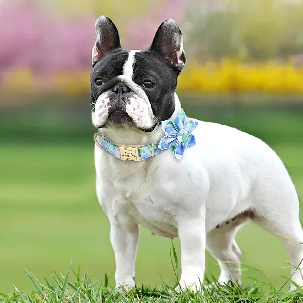 Custom Nylon Dog Collar Cute Print Dog Collars Free Engraved Pet ID Collars Necklace For Small Medium Large Dogs Pug Adjustable