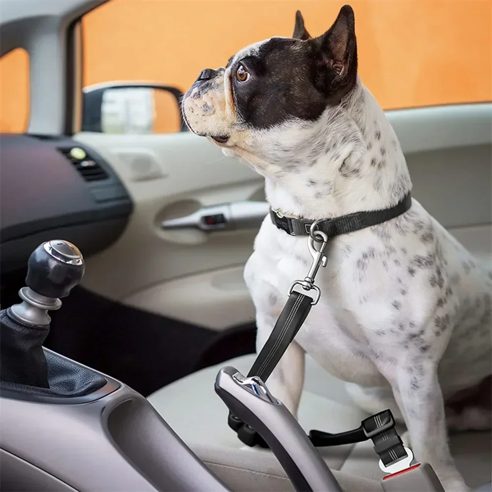 Dog Leash Harness Dogs Dog Accessories Supplies Pet Dog Car Seat Belt Retractable Buffer Elastic Reflective Safety Traction Rope