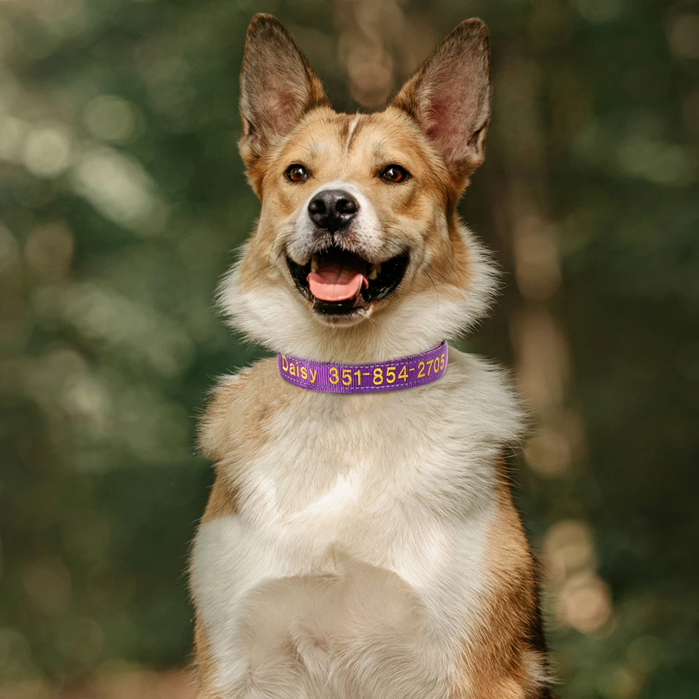 Embroidered Nylon Dog Collar Personalized Puppy Cat Collars Reflective Pet ID Collars DIY Phone Name ID For Small Large Dog Cat