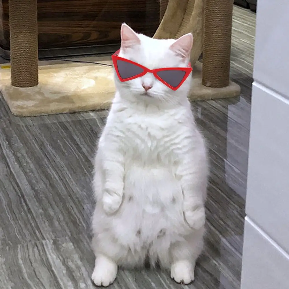 Pet Accessories Multicolor Triangle Frames Mirror Square Glasses Cat Glasses Dog Sunglasses Pet Eyeglasses Dog Sunglasses