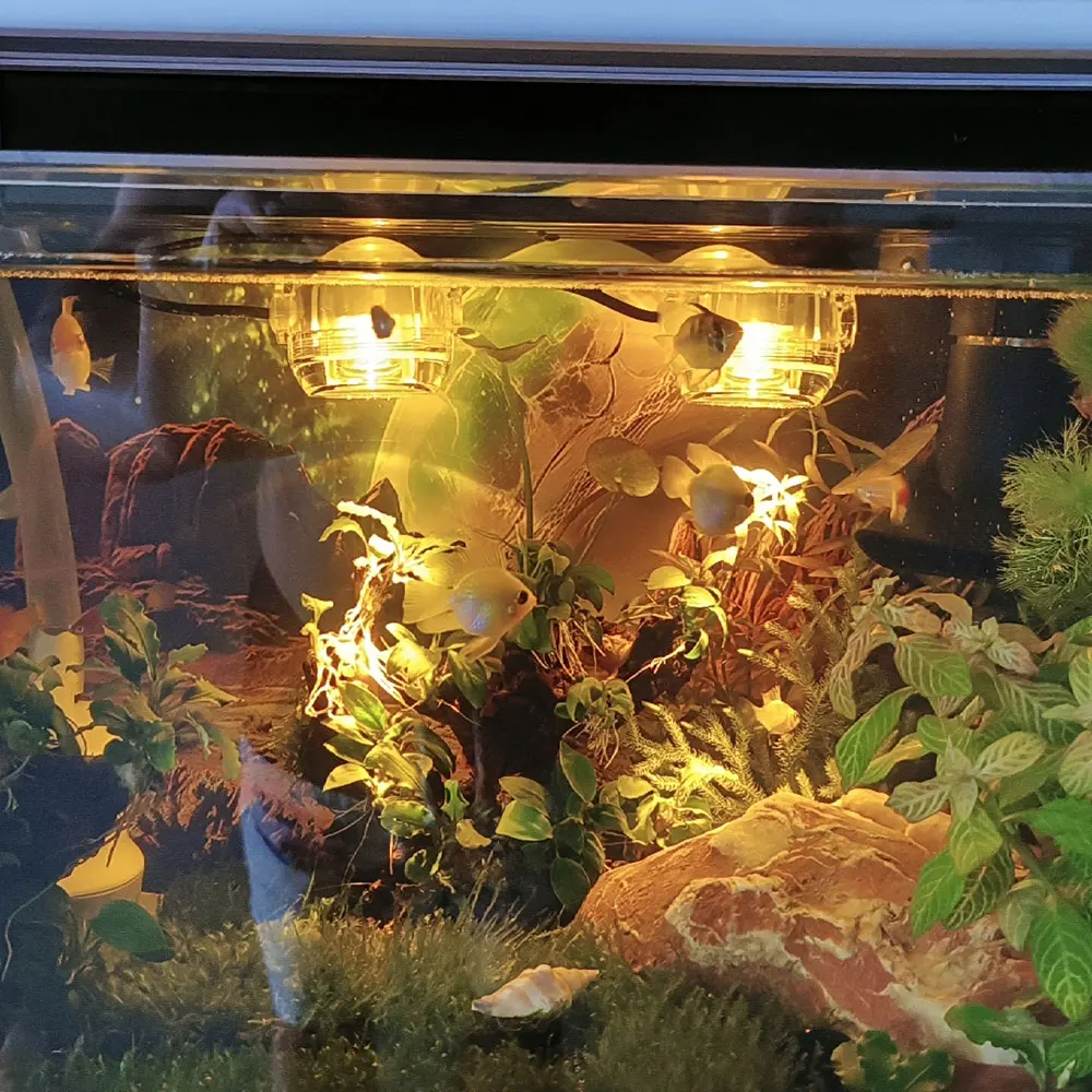 Aquarium Spotlight USB Colorful Gradient Diving Light LED Small Lamp For Romantic Fish Tank