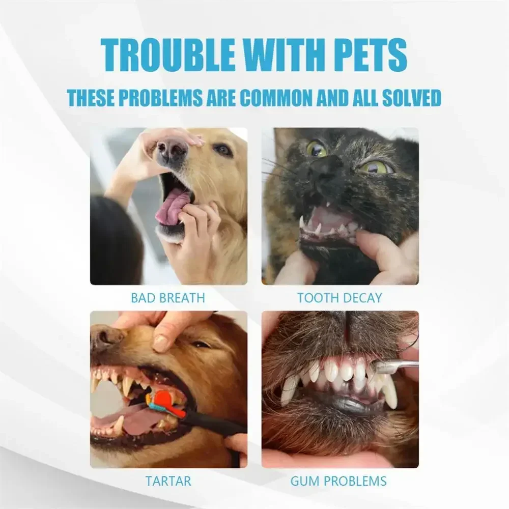 Cat Toothbrush Soft Hair Brush for Cats Mouth Cleaning Cat Brush for Teeth Cleaning Pet Grooming Cats Toothbrush Pet Products