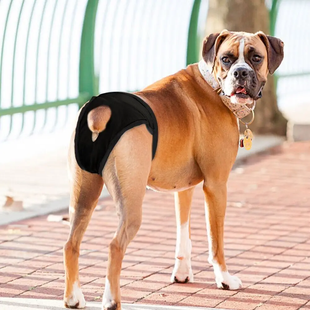 Breathable Menstrual Period Easy To Wear Dog Shorts Panties With 3 Diapers Pet Sanitary Pants Physiological Pants