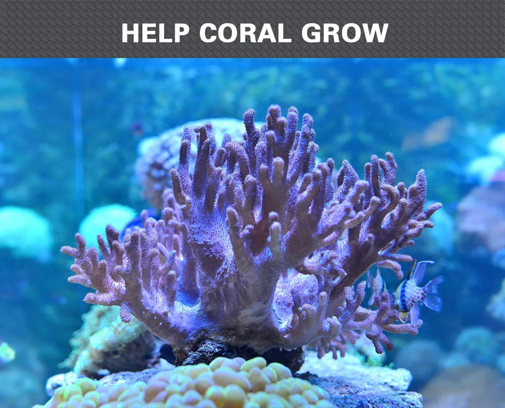 Dimmable LED Aquarium Lights 180W 140W Fish Tank Light For Freshwater Saltwater Aquarium Marine Reef Coral Lighting Decoration