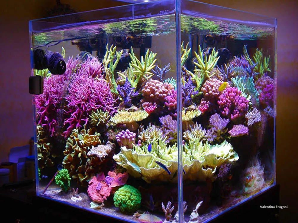 Dimmable LED Aquarium Lights 180W 140W Fish Tank Light For Freshwater Saltwater Aquarium Marine Reef Coral Lighting Decoration