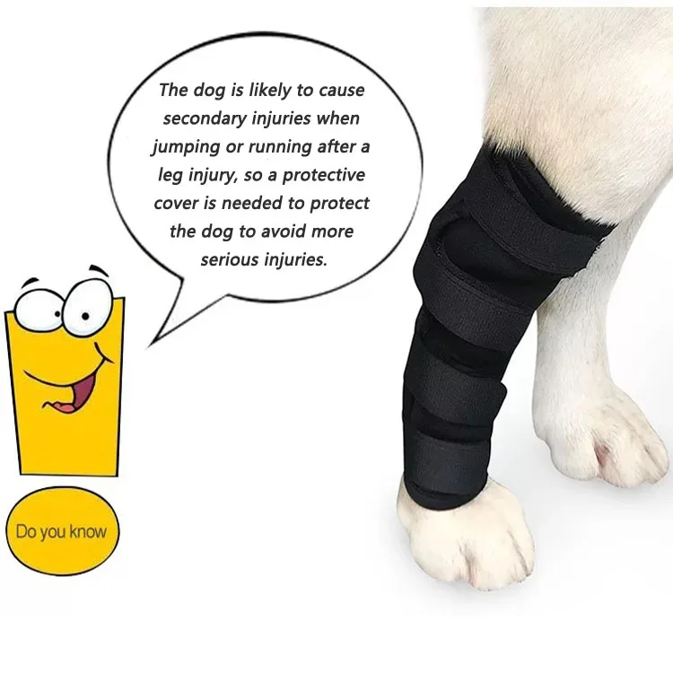 Pet Dog Bandages Dog Injurie Leg Knee Brace Strap Protection For Dogs Joint Bandage Wrap Doggy Medical Supplies Dogs Accessories