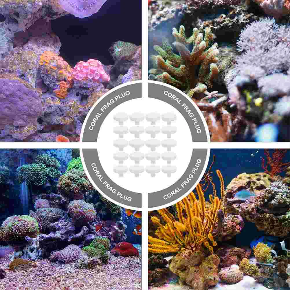 20 Pcs Fish Tank Coral Base Decoration Nurture Supplies Frag Plug Reproduction Ceramics Aquarium Support Coral Plug Fish Tank