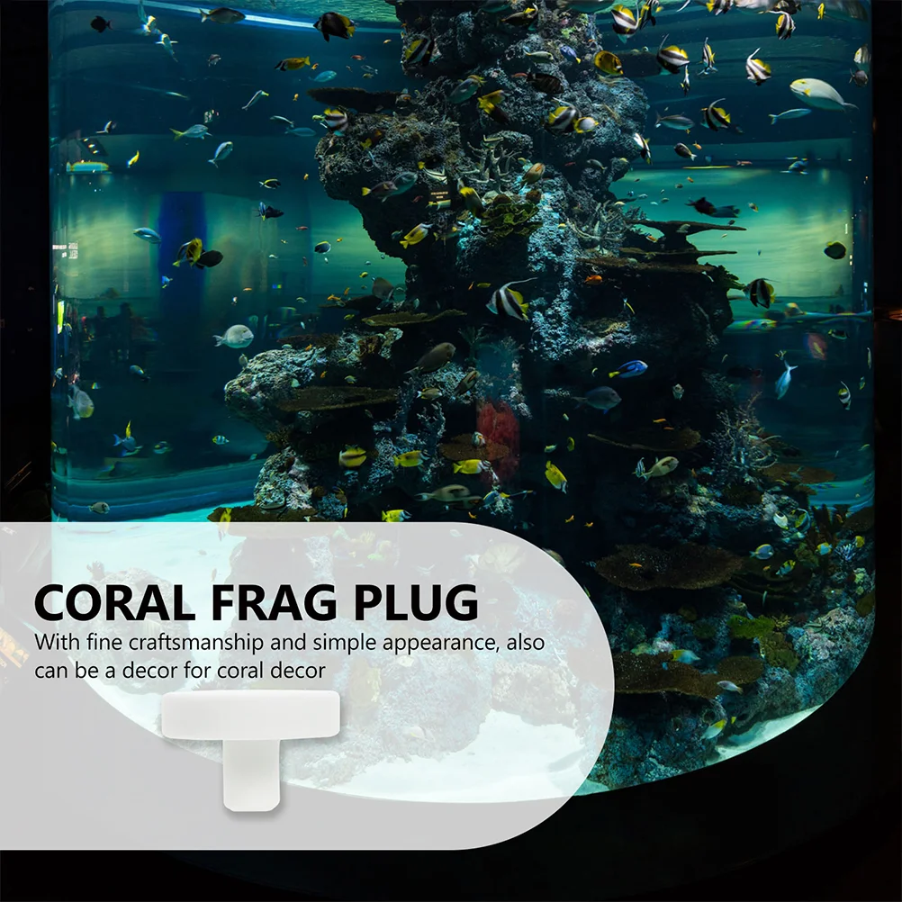 20 Pcs Fish Tank Coral Base Decoration Nurture Supplies Frag Plug Reproduction Ceramics Aquarium Support Coral Plug Fish Tank