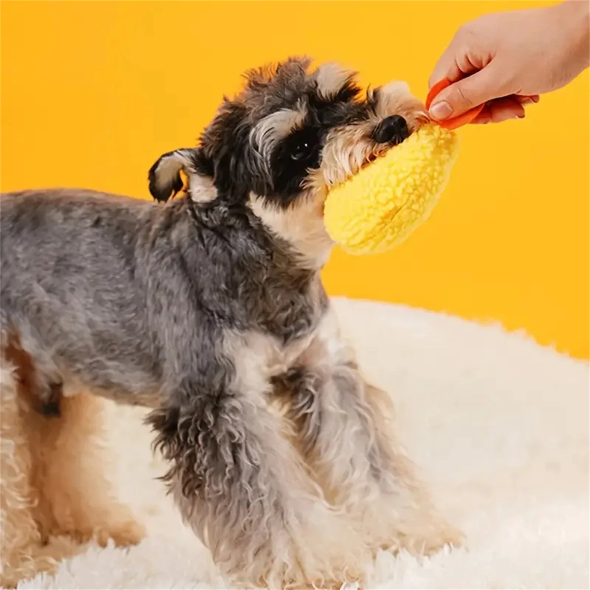 Fried Shrimp Tempura Dog Pet Chew Bite Squeaky Toy Cute Stuffed For Puppy Play Terrier Hond Shiba Yorkshire Corgi