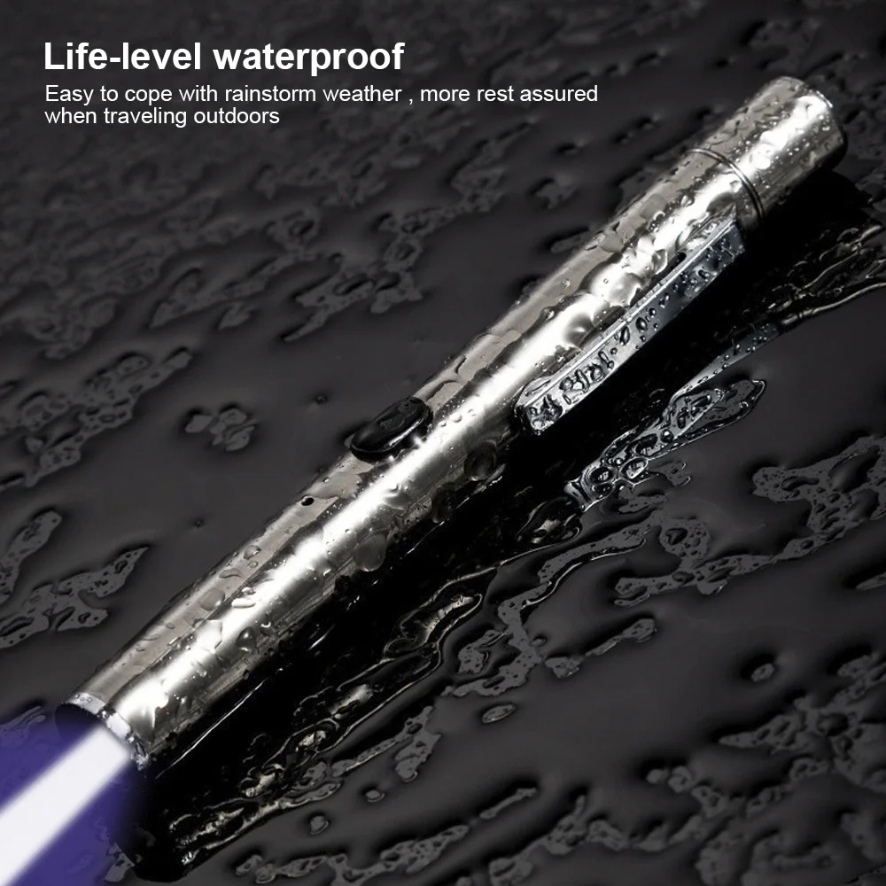 365 UV Veterinary Wood Lamp Pet Fungus Detection Waterproof Flashlight Skin Ultraviolet Light Cat Moss Tinea Light Black Mirror