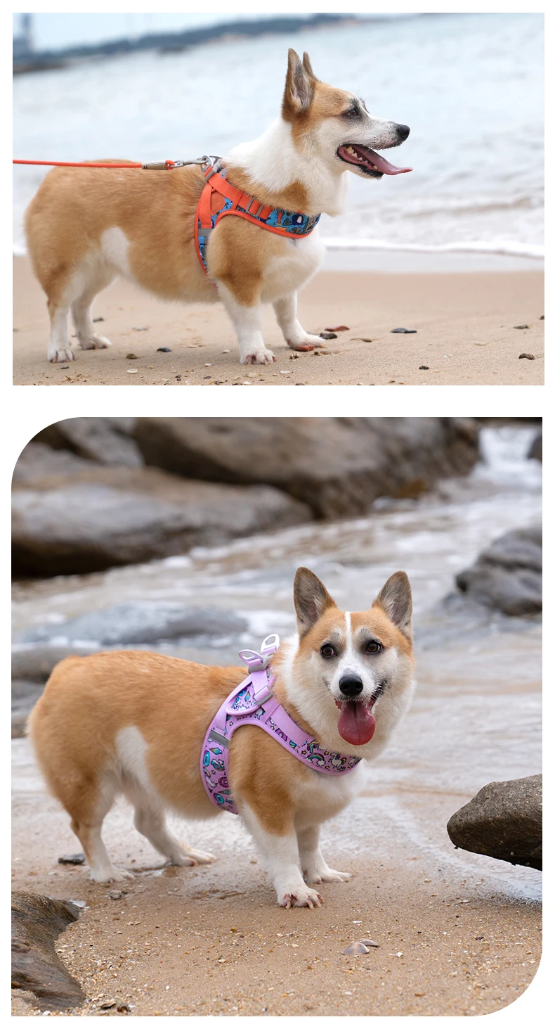 Truelove Floral Printing Mesh Harness for Dogs and Cats Small and Medium Breeds All Weather Adjustable Summer Walking TLH30131