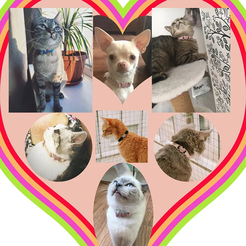 Heart Charm and Bell Cat Collar Safety Elastic Adjustable with Soft Velvet Material 8 Colors Pet Product Small Dog Collar Pet
