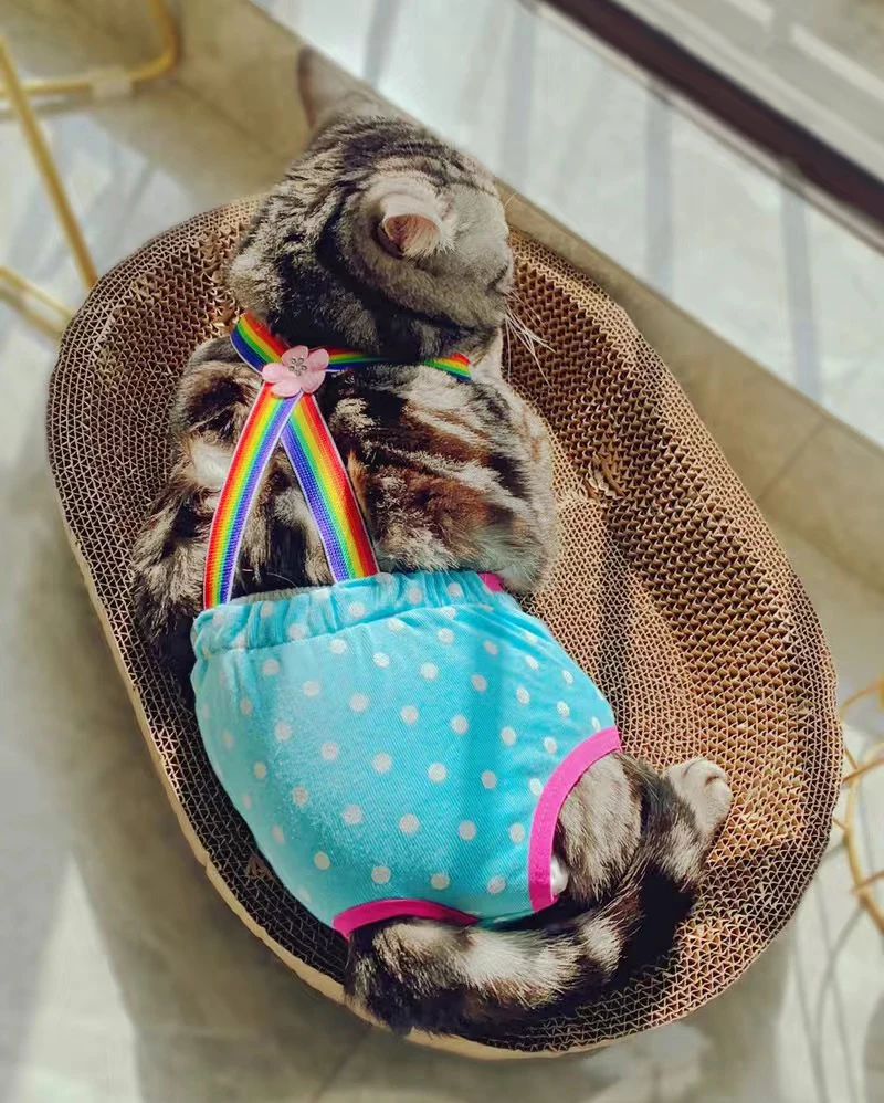 Denim French Bulldog Pet Physiological Pants Dot Female Dog Safety Sanitary Panties for Small Medium Dogs Cats Mascotas Shorts