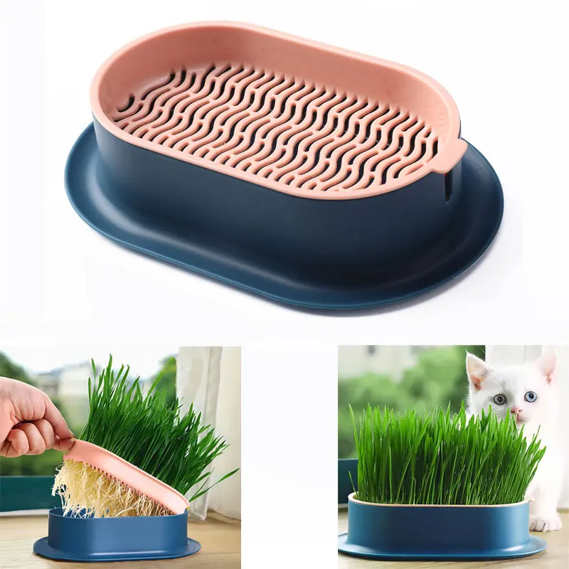 Pet Cat Sprout Dish Growing Pot Hydroponic Plant Cat Pot Grass Box Germination Nursery Starter Dish Greenhouse Grow Box
