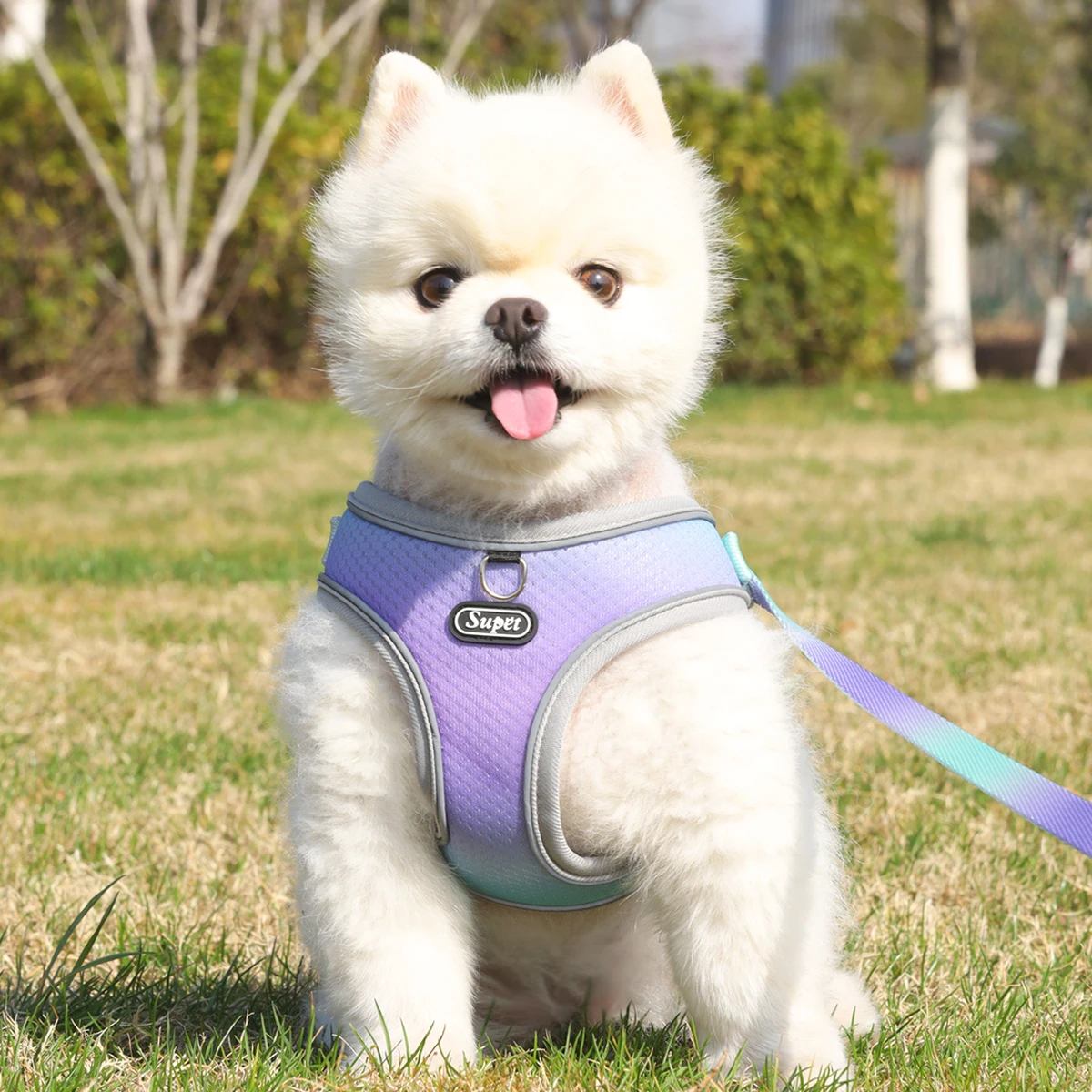 Supet Pet Step-in Dog Harness, Adjustable Reflective Soft Dog Harness, Breathable Dog Vest Harness for Cats Puppy