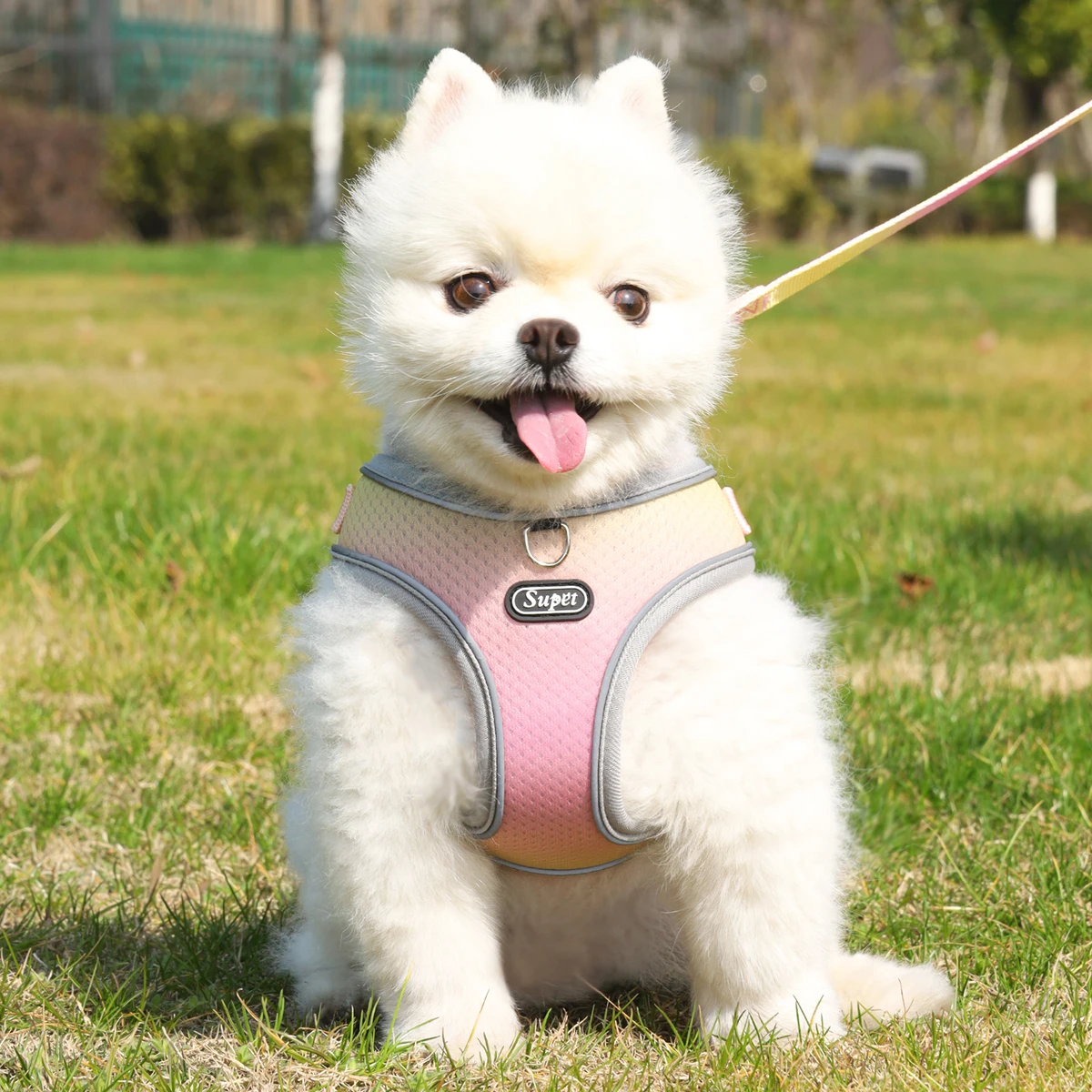 Supet Pet Step-in Dog Harness, Adjustable Reflective Soft Dog Harness, Breathable Dog Vest Harness for Cats Puppy