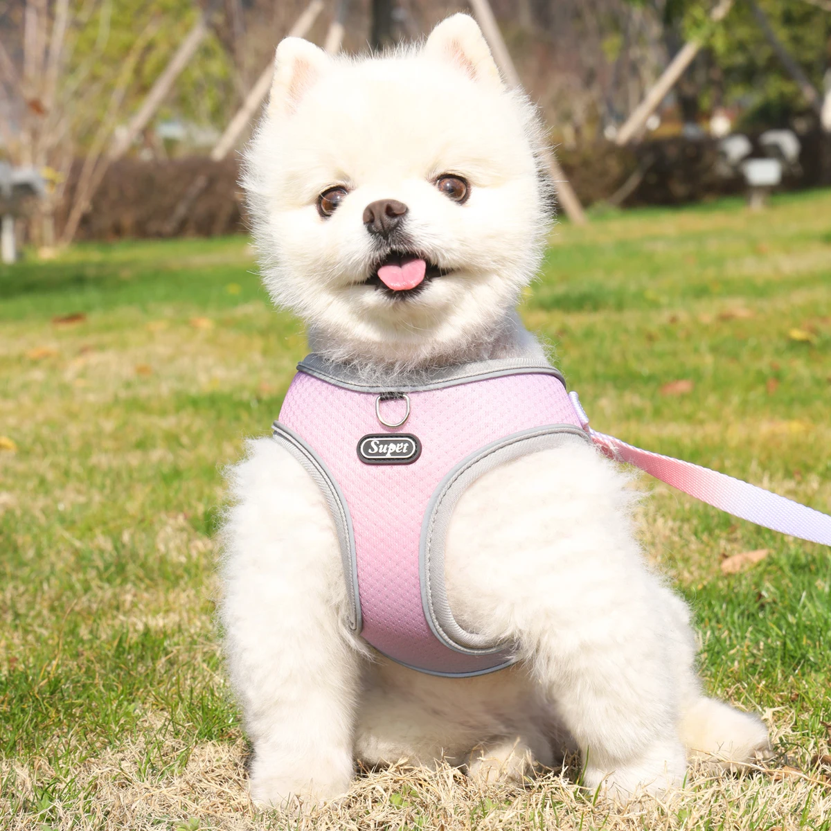Supet Pet Step-in Dog Harness, Adjustable Reflective Soft Dog Harness, Breathable Dog Vest Harness for Cats Puppy
