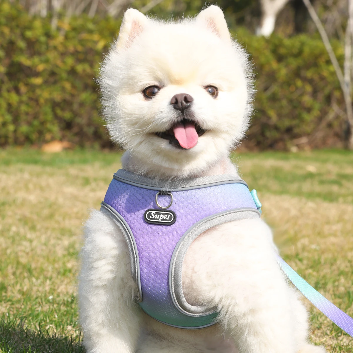 Supet Pet Step-in Dog Harness, Adjustable Reflective Soft Dog Harness, Breathable Dog Vest Harness for Cats Puppy