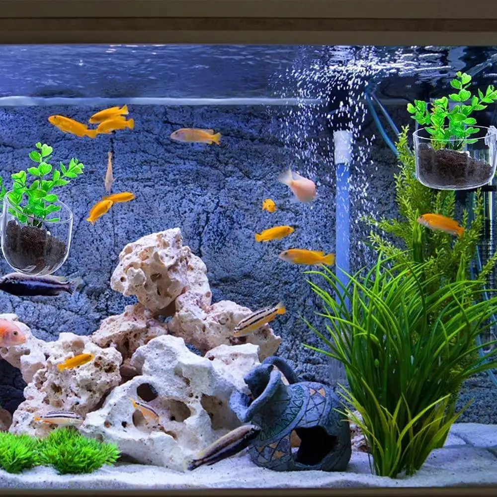 Aquarium Decoration Plant Cup Pot Acrylic Aquatic Plant Cup With Suction Holder Water Potted Planting Cup Aquarium Feeding Tool