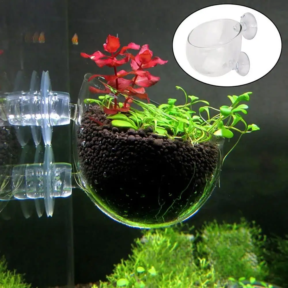 Aquarium Decoration Plant Cup Pot Acrylic Aquatic Plant Cup With Suction Holder Water Potted Planting Cup Aquarium Feeding Tool