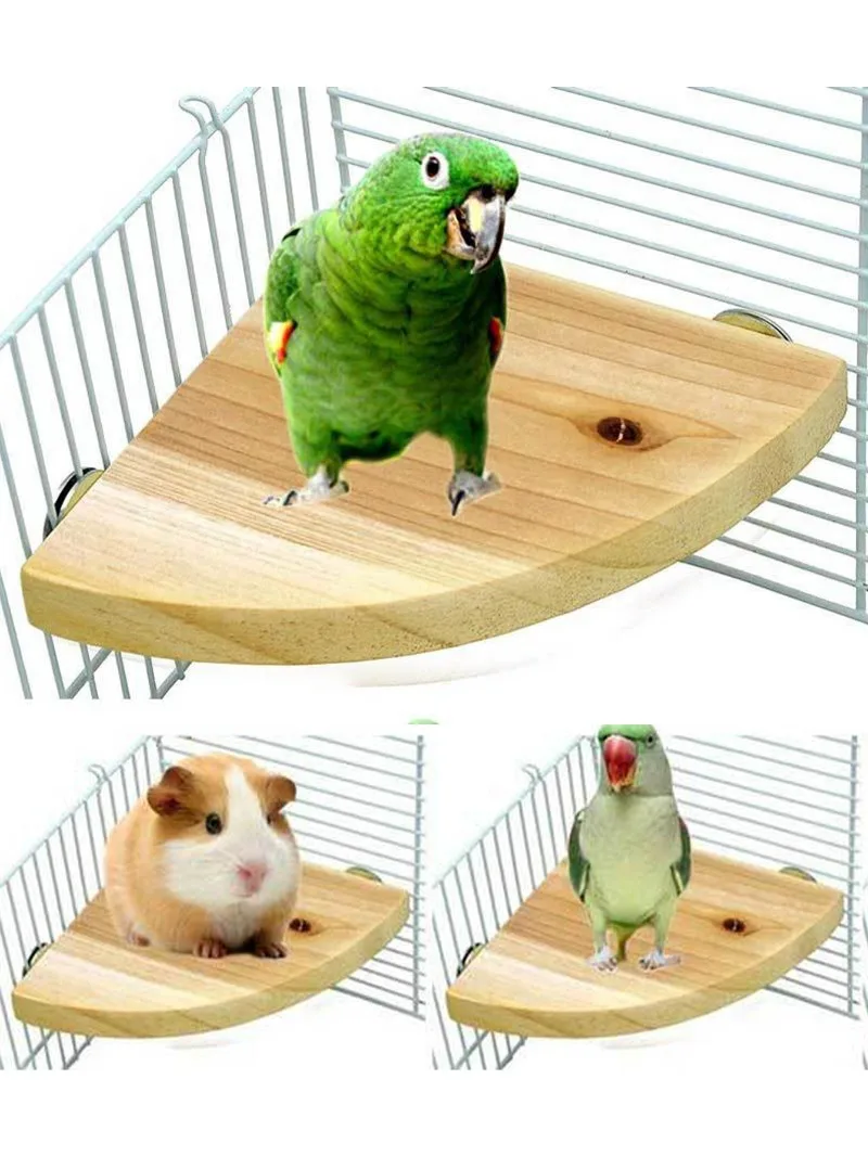 Fan-shaped Bird Parrot Wooden Stand Rack Bird Cage Accessories Perch for Small Animal Chinchilla Squirrel Hamster Stand Board