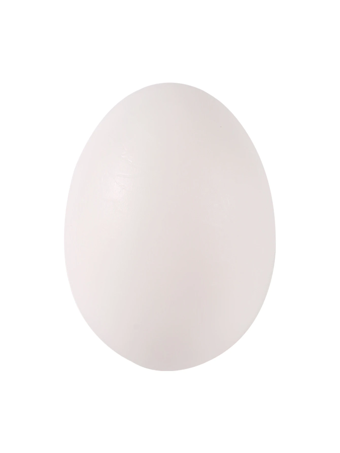5Pcs Simulated Pigeon Eggs Simulated Fake Eggs Bird Racing Pigeon Hatching Supplies Bird Raising Tools Nest Hatching Eggs