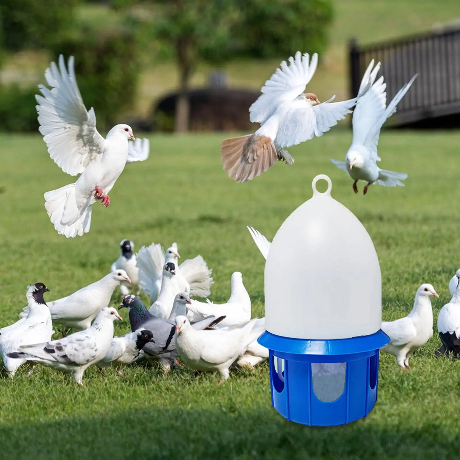 Bird Water Drinker Pigeon Water Dispenser Feeder Bird Cage Accessories Large Capacity Bird Cage Accessories with Hanging Handle